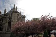 Katedrála Notre Dame, Ile de la Cité, Paříž. Francie.